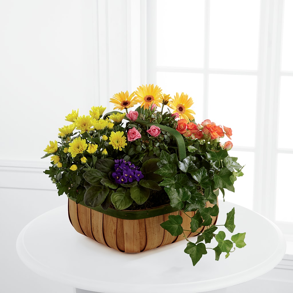 Gentle Blossoms Basket – Guilles Flowers Santa Clara, San Jose CA