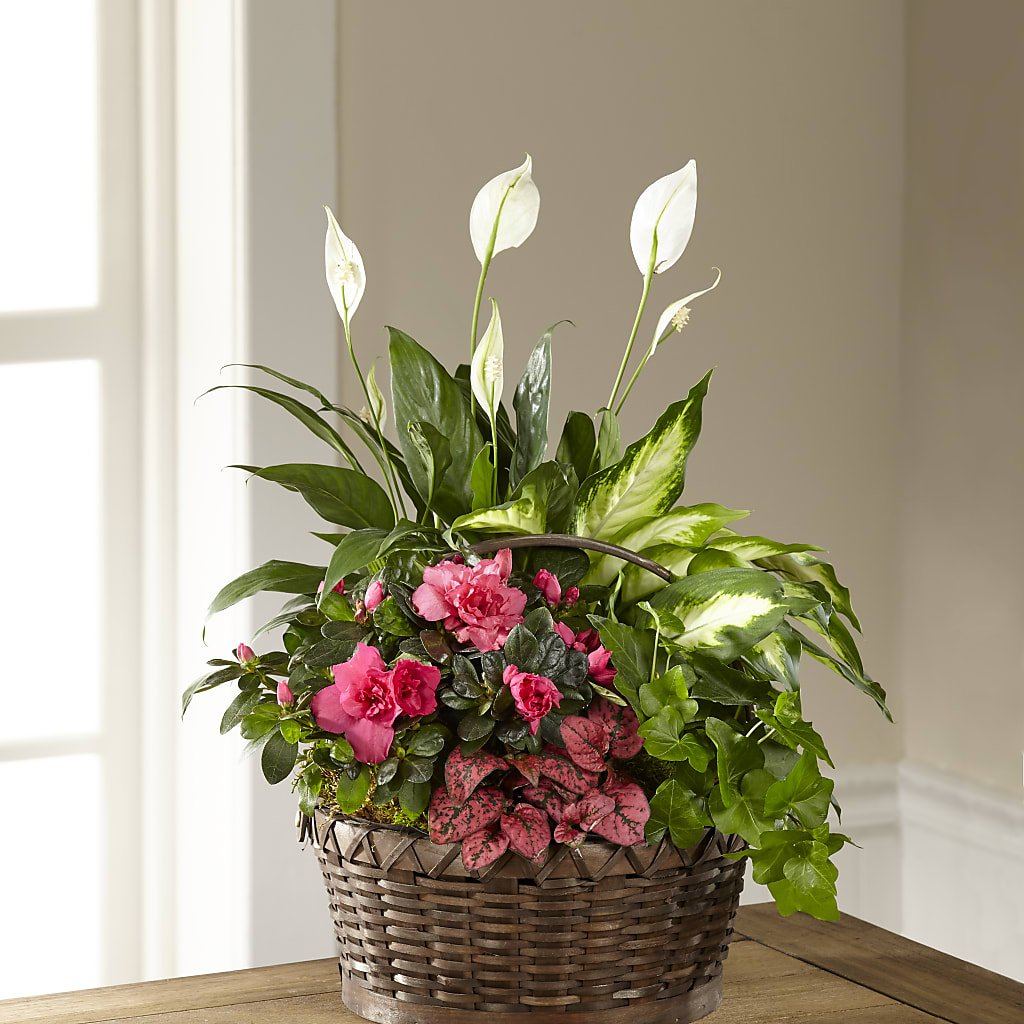 Dream in Pink Dishgarden – Guilles Flowers Santa Clara, San Jose CA