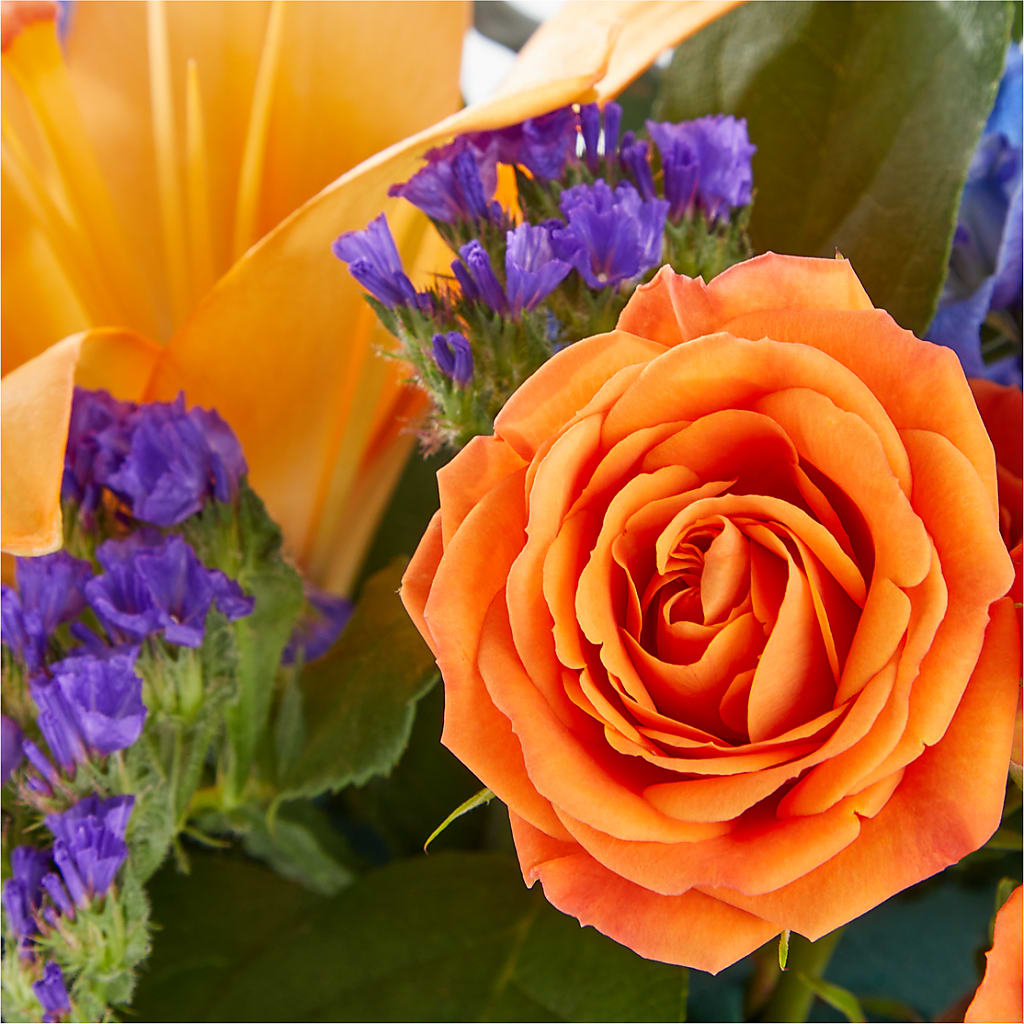 Radiant Citrus Box Bouquet – Guilles Flowers Santa Clara, San Jose CA