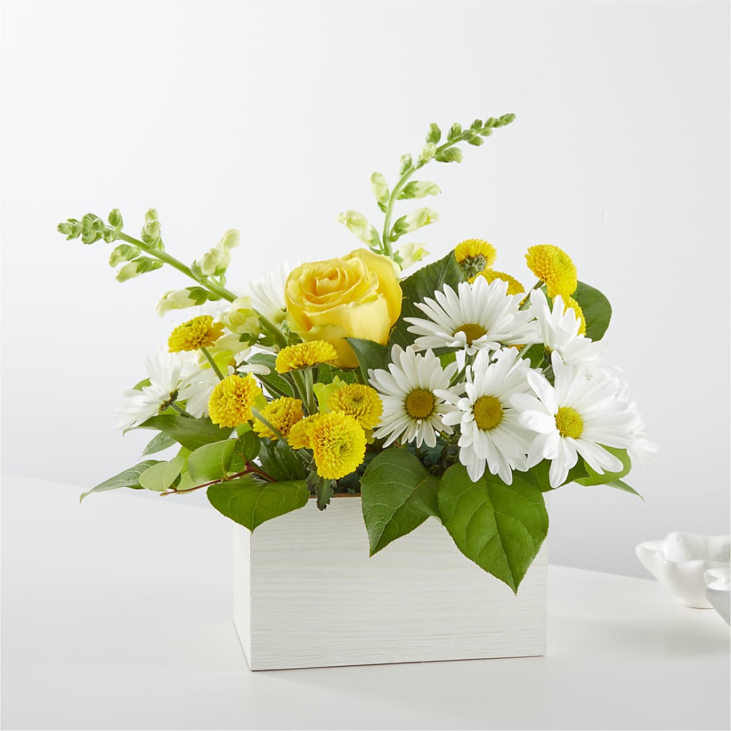 Sun Salutation Box Bouquet – Guilles Flowers Santa Clara, San Jose CA