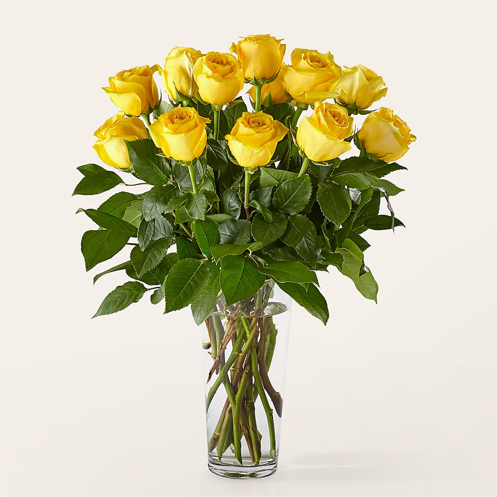 Long Stem Yellow Rose Bouquet – Guilles Flowers Santa Clara, San Jose CA
