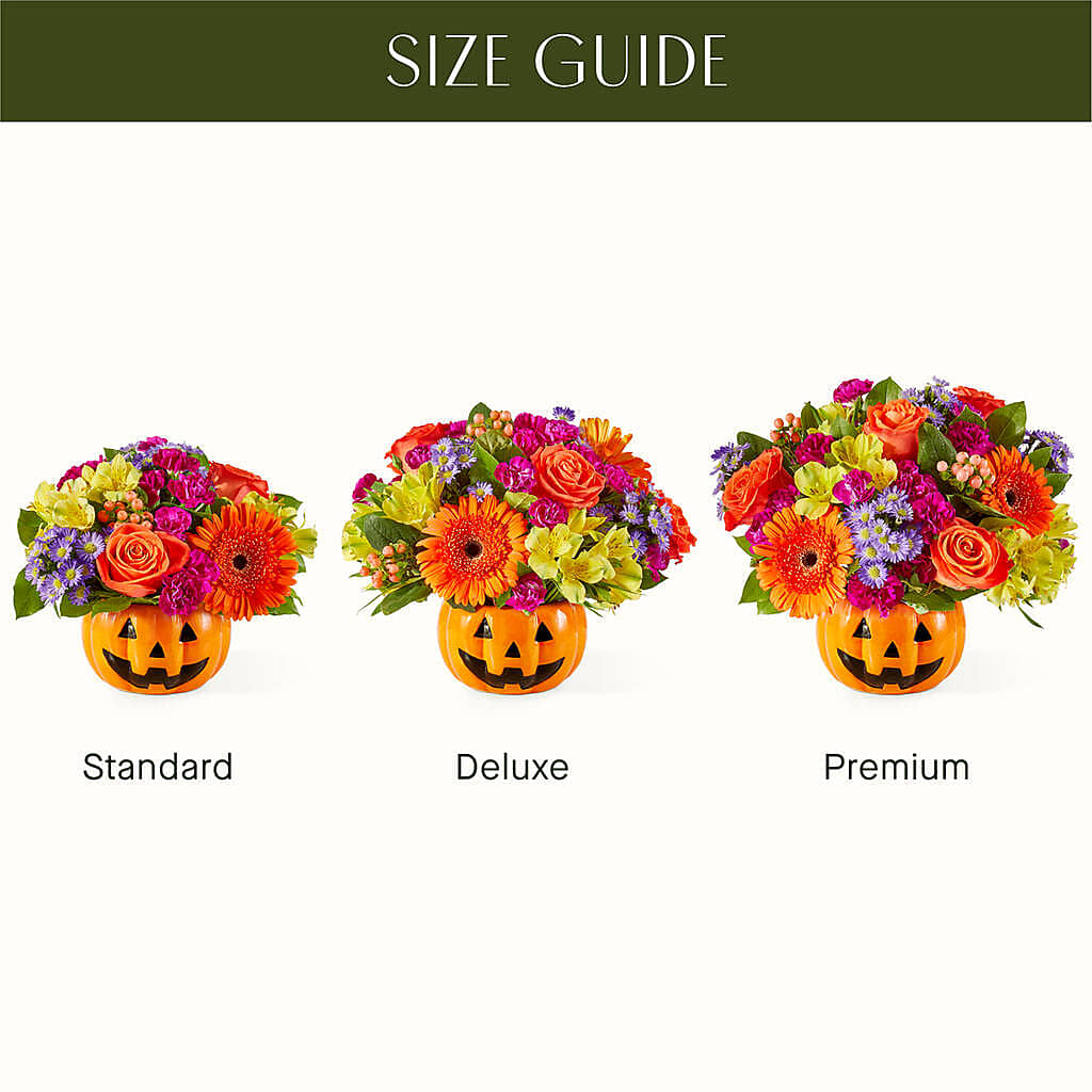 Tricks & Treats Pumpkin – Guilles Flowers Santa Clara, San Jose CA