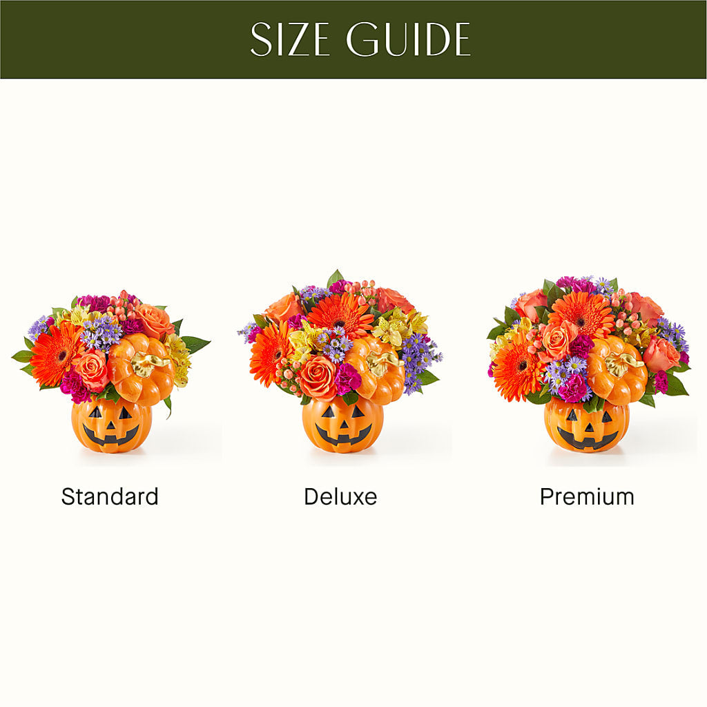 Tricks & Treats Pumpkin – Guilles Flowers Santa Clara, San Jose CA