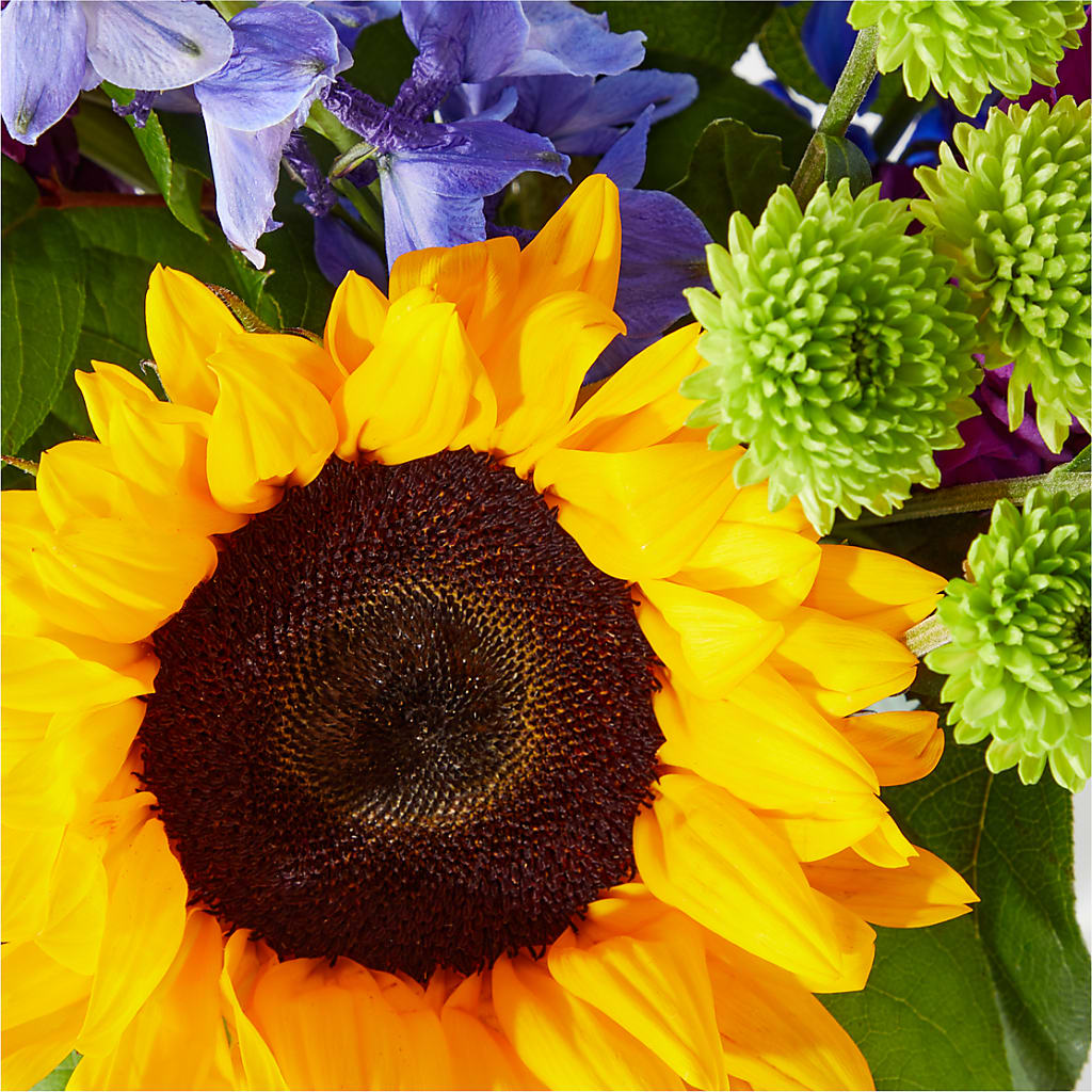Catching Rays Bouquet – Guilles Flowers Santa Clara, San Jose CA