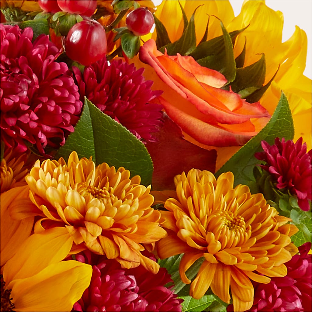 Sweater Season - A Florist Original – Guilles Flowers Santa Clara, San Jose CA