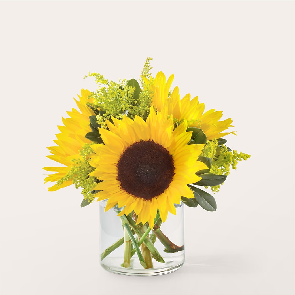 Beaming Sunflower Bouquet – Guilles Flowers Santa Clara, San Jose CA