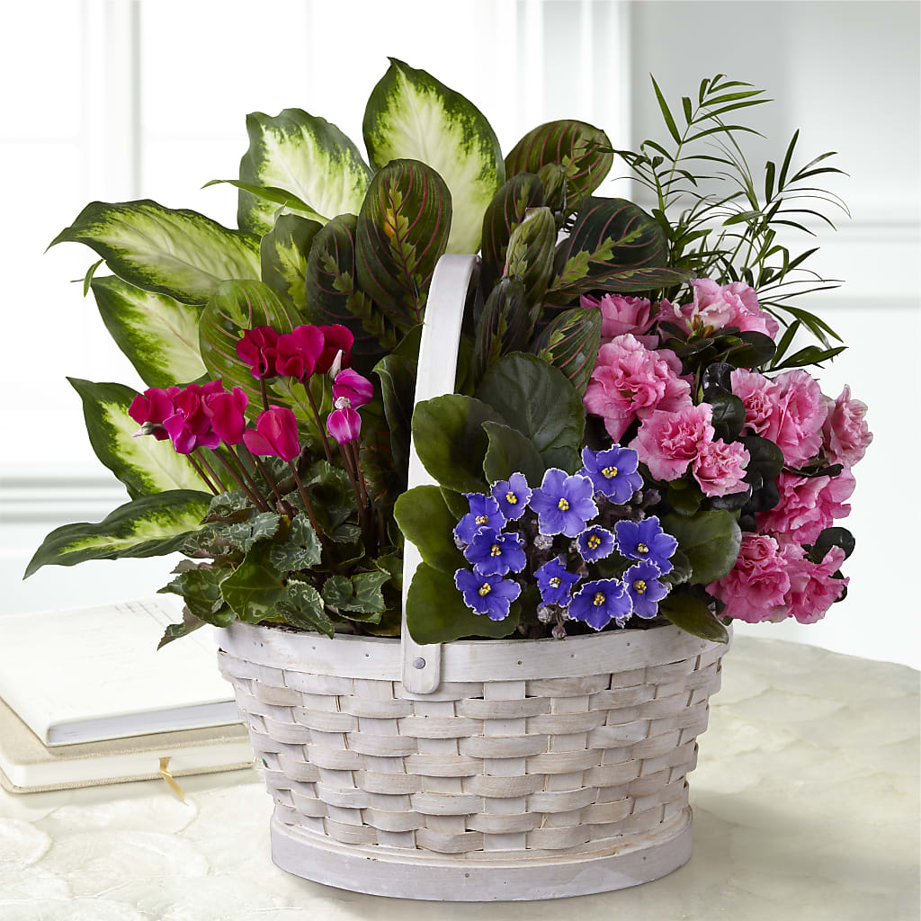 Peaceful Garden Planter – Guilles Flowers Santa Clara, San Jose CA