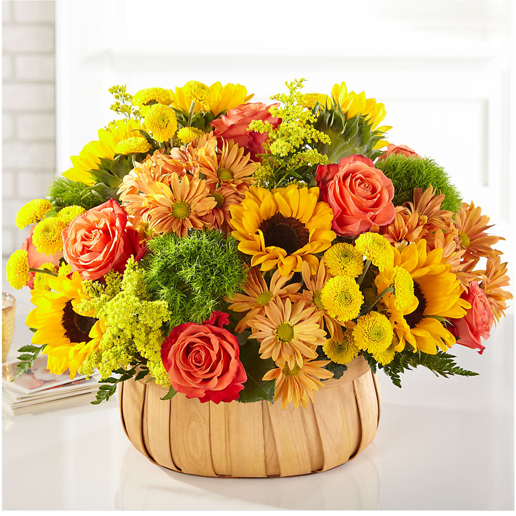 Harvest Sunflower Basket – Guilles Flowers Santa Clara, San Jose CA
