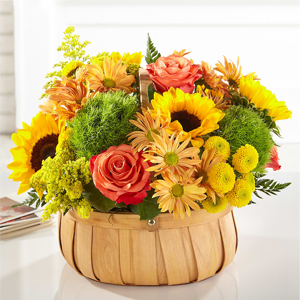 Harvest Sunflower Basket – Guilles Flowers Santa Clara, San Jose CA