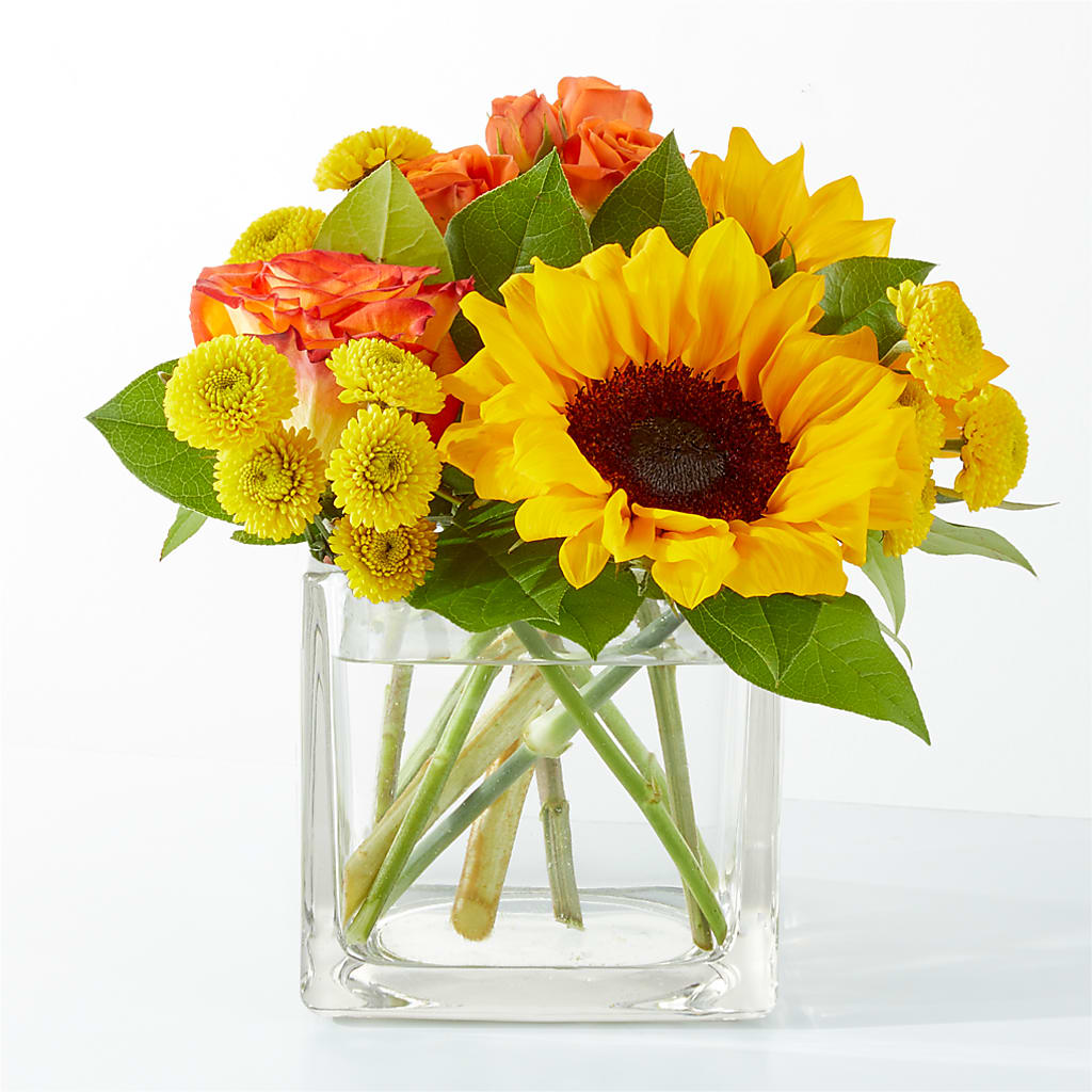 Picnic in the Park Bouquet – Guilles Flowers Santa Clara, San Jose CA