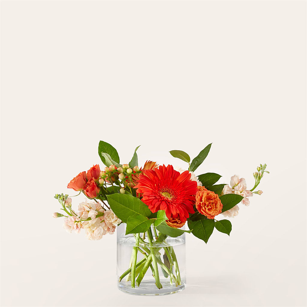 Paloma Please Bouquet – Guilles Flowers Santa Clara, San Jose CA