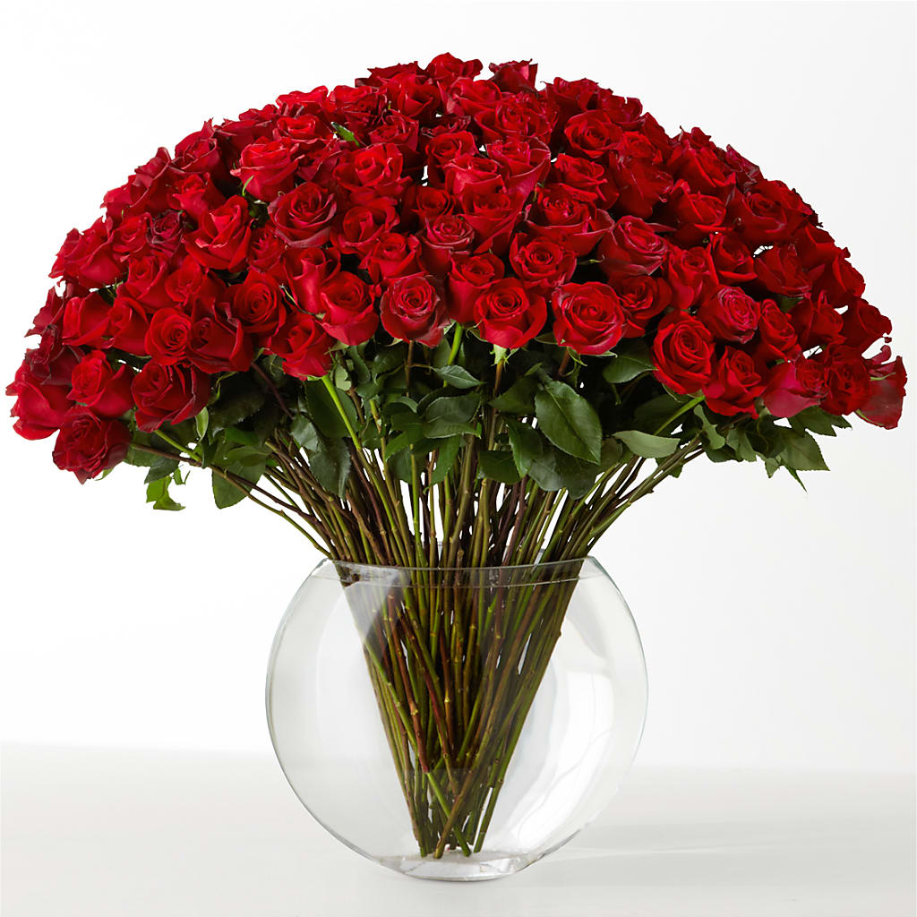 The Idealist – Guilles Flowers Santa Clara, San Jose CA