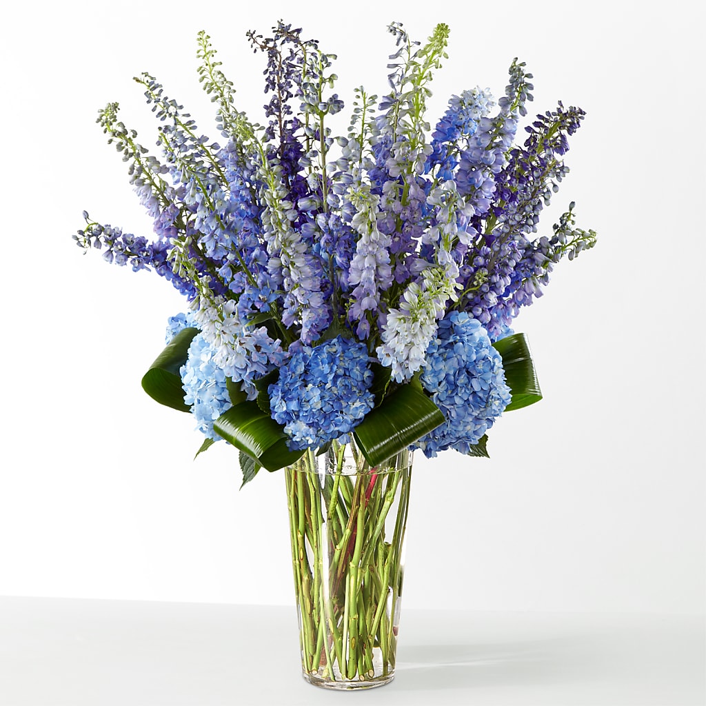 The Editorial – Guilles Flowers Santa Clara, San Jose CA