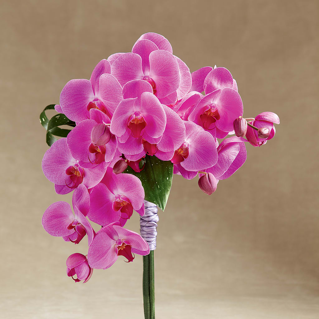Glorious Bouquet – Guilles Flowers Santa Clara, San Jose CA