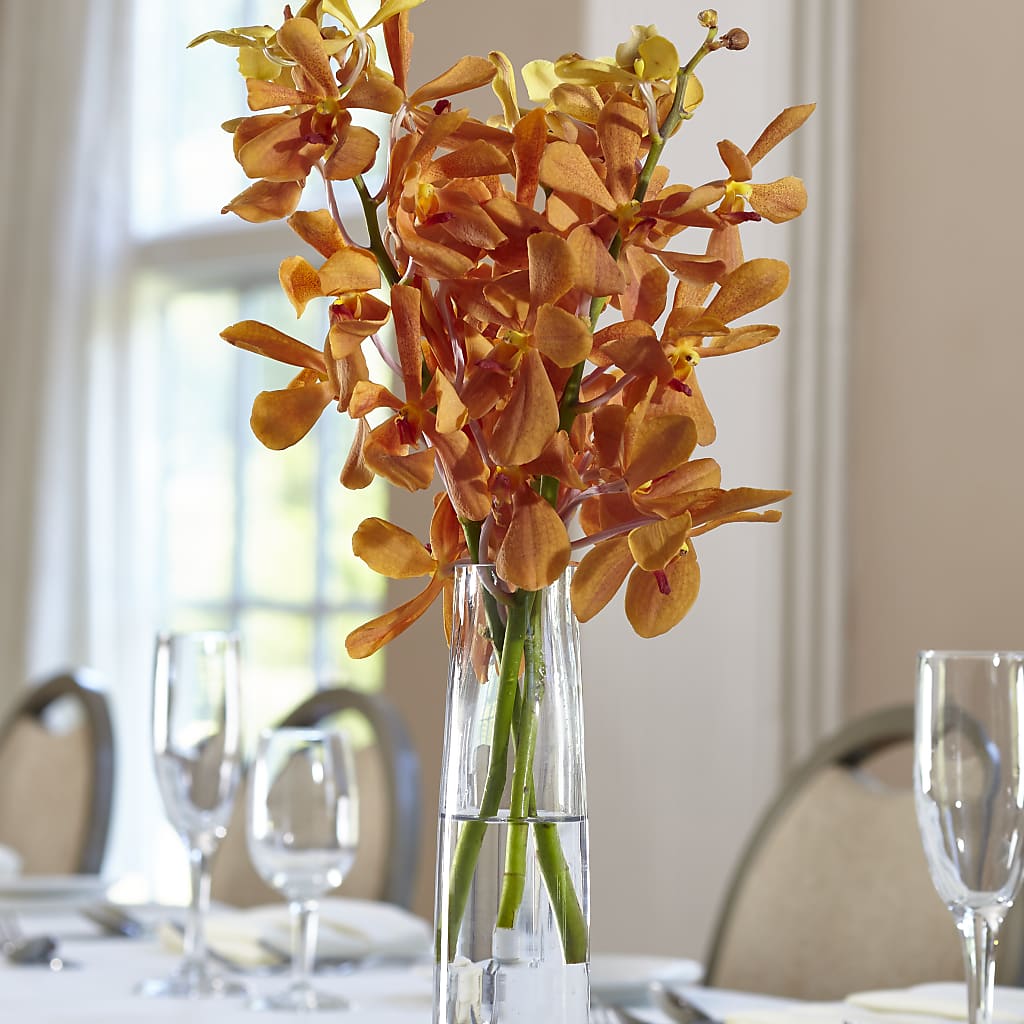 Orange Mokara Bud Vase – Guilles Flowers Santa Clara, San Jose CA
