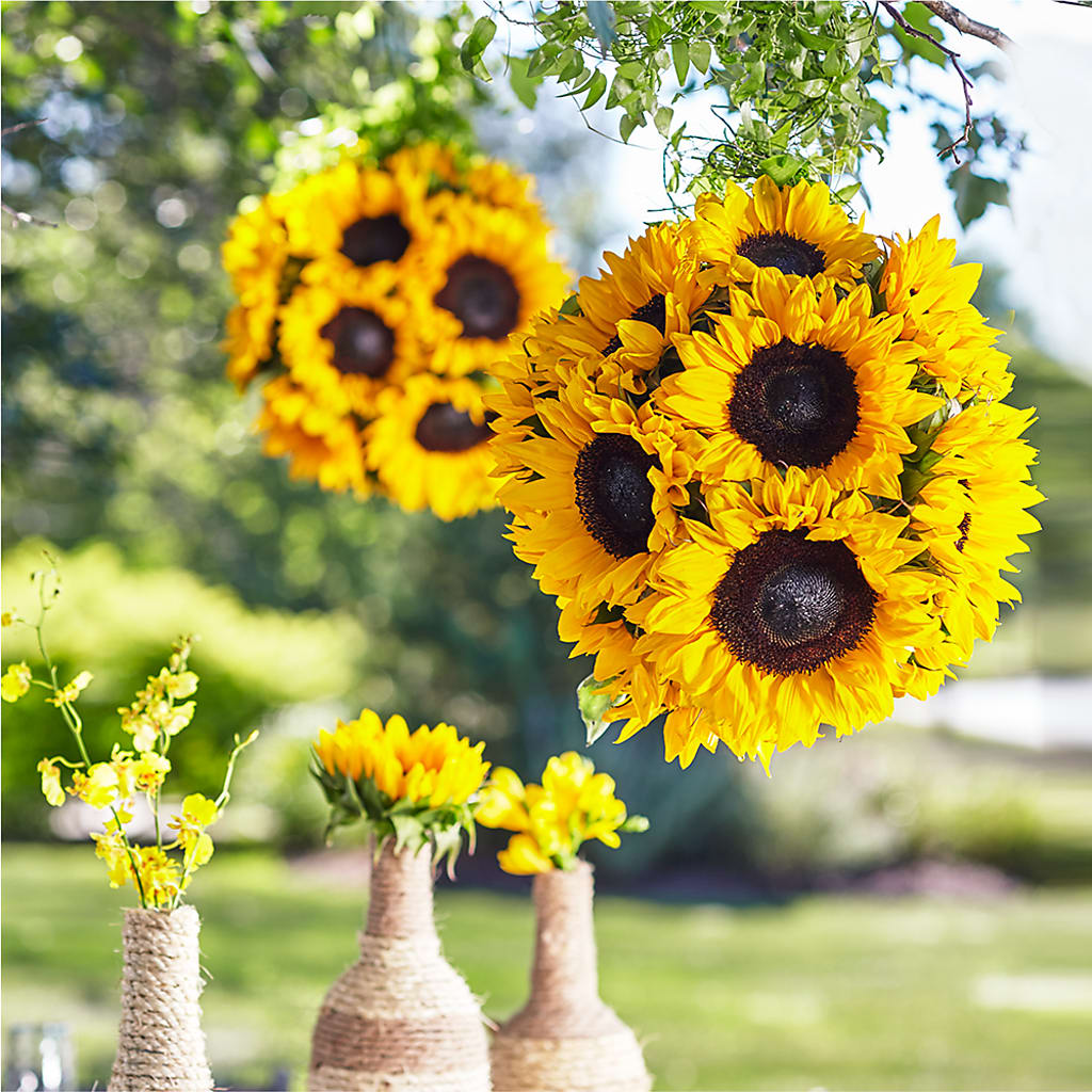 Sublime Garden Hanging Arrangement – Guilles Flowers Santa Clara, San Jose CA