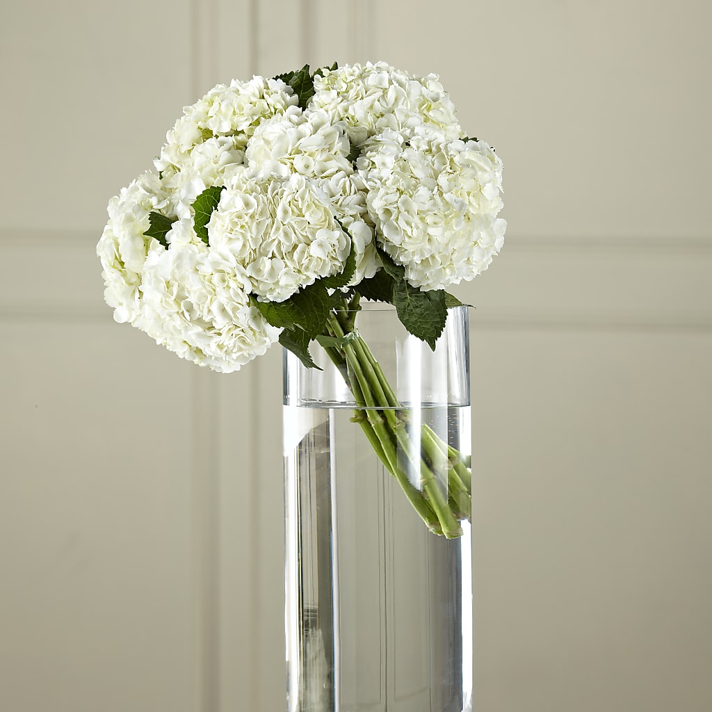 White Hydrangea Hand-Tied Bouquet – Guilles Flowers Santa Clara, San Jose CA