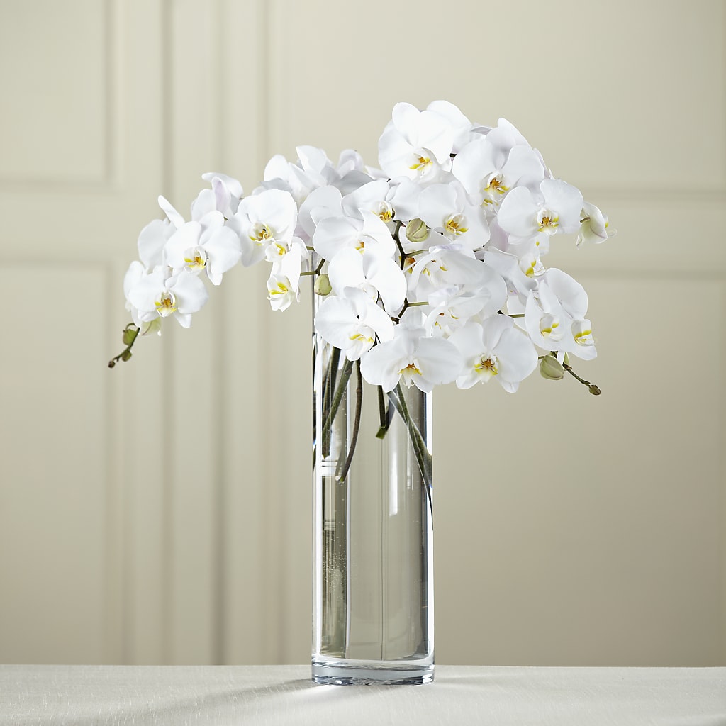 White Phalaenopsis Bouquet – Guilles Flowers Santa Clara, San Jose CA