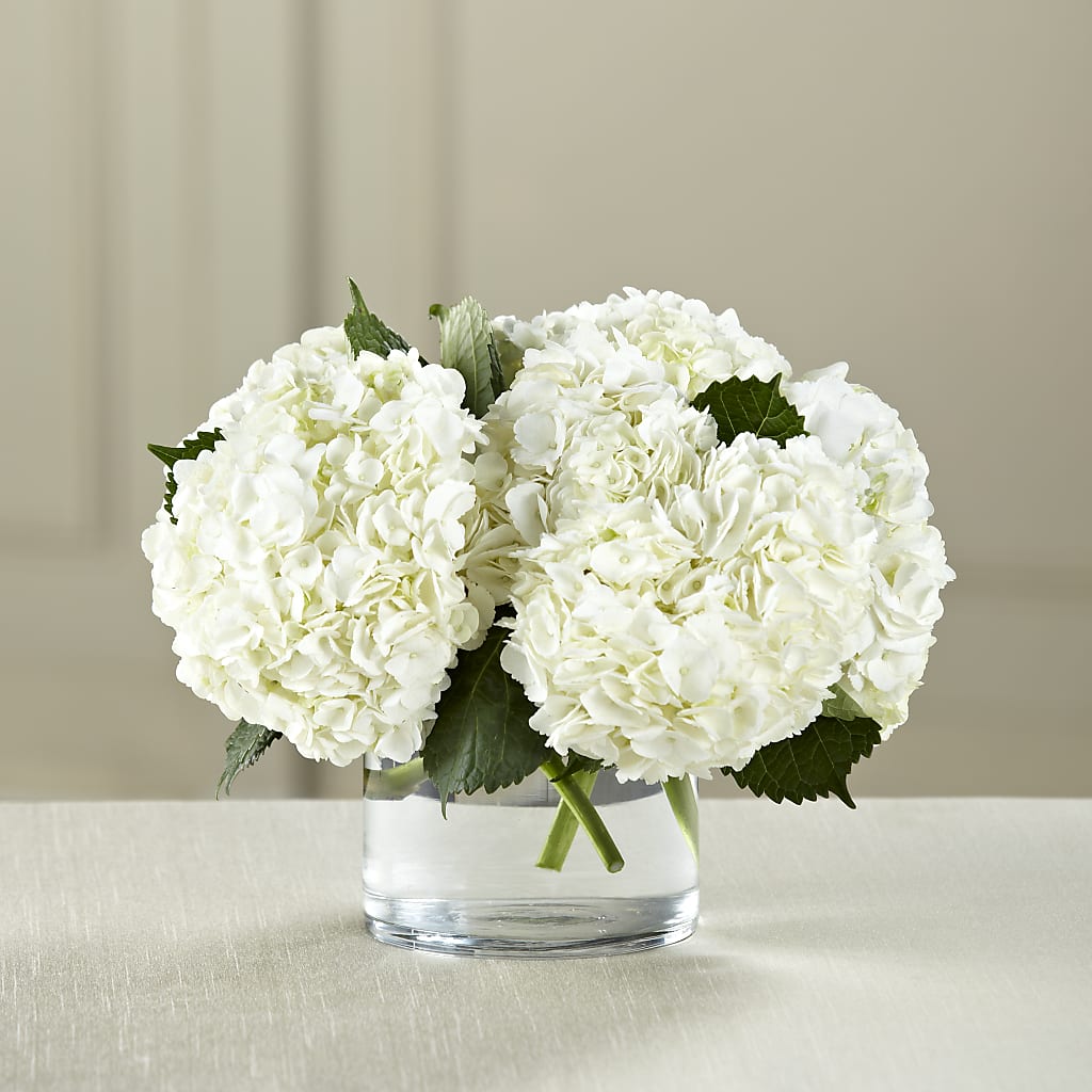 White Hydrangea Bouquet – Guilles Flowers Santa Clara, San Jose CA