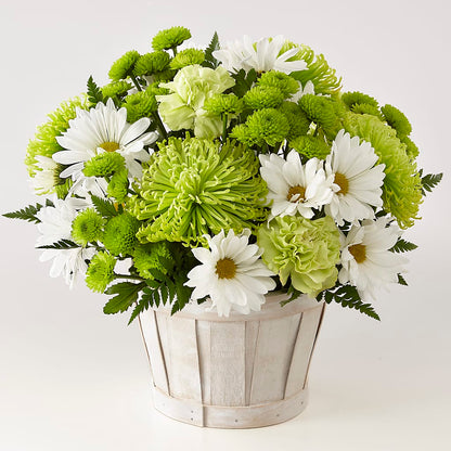 Lucky Charm Basket (Standard) –  Guilles Flowers Santa Clara, San Jose CA