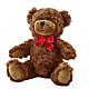 Adorable Plush Bear –  Guilles Flowers Santa Clara, San Jose CA