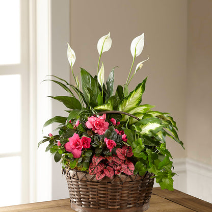 Dream in Pink Dishgarden –  Guilles Flowers Santa Clara, San Jose CA