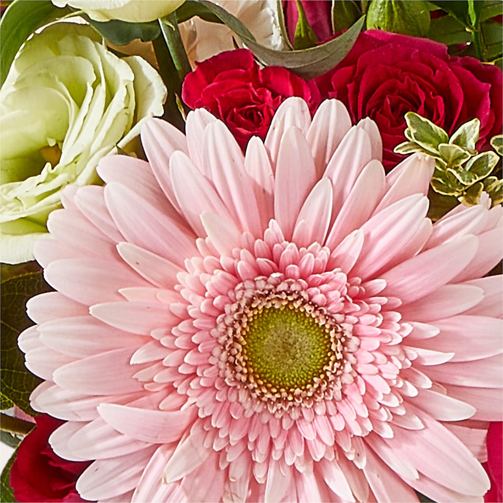 Too Cute Bouquet –  Guilles Flowers Santa Clara, San Jose CA