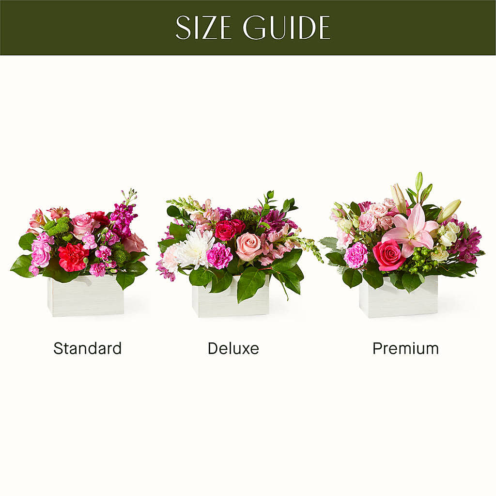 Sweetberry Box – A Florist Original –  Guilles Flowers Santa Clara, San Jose CA