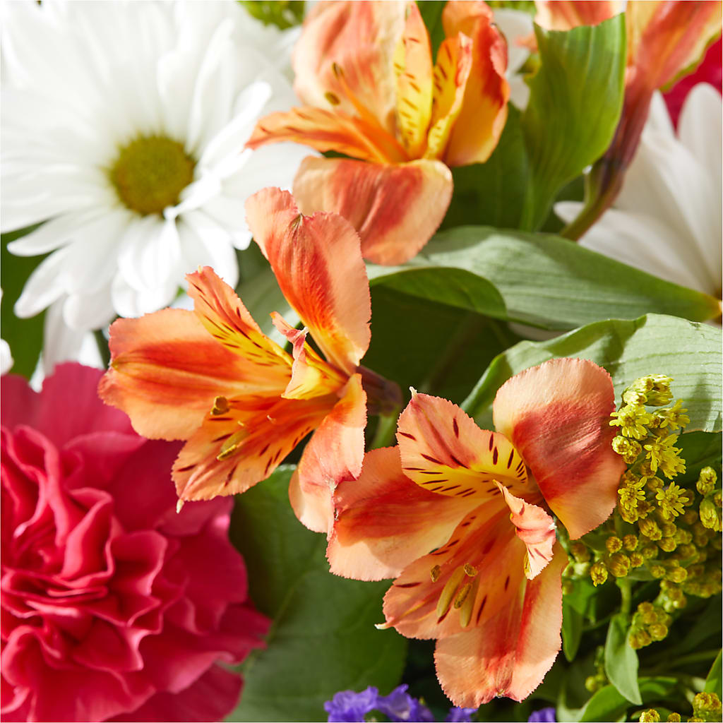 Oopsie Daisy Box Bouquet –  Guilles Flowers Santa Clara, San Jose CA