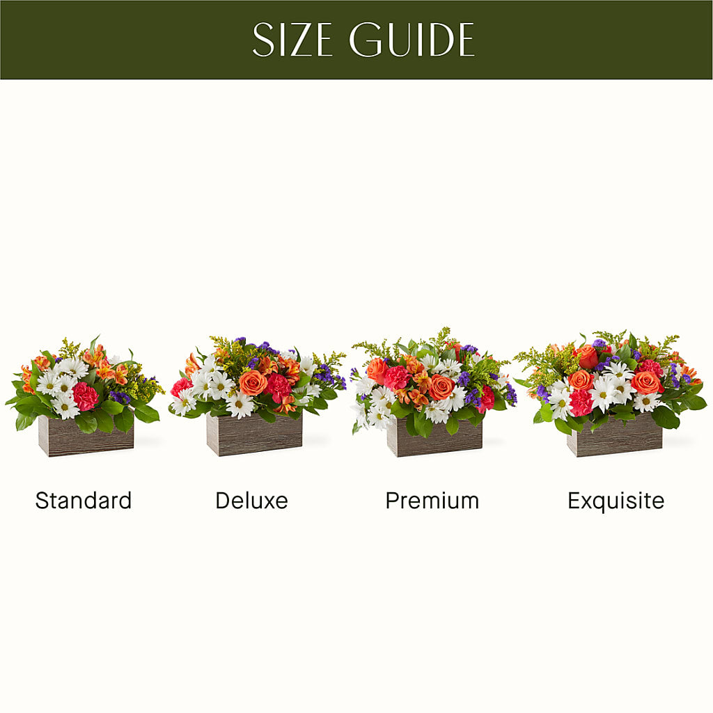 Oopsie Daisy Box Bouquet –  Guilles Flowers Santa Clara, San Jose CA