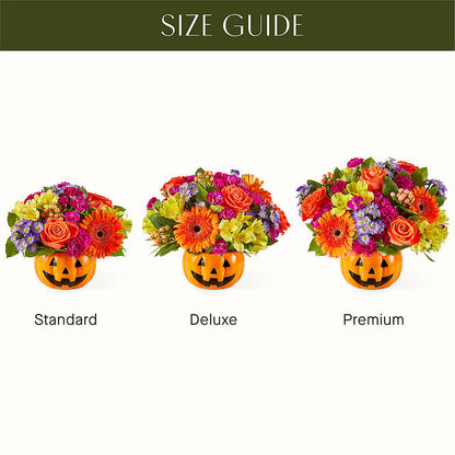Tricks & Treats Pumpkin –  Guilles Flowers Santa Clara, San Jose CA