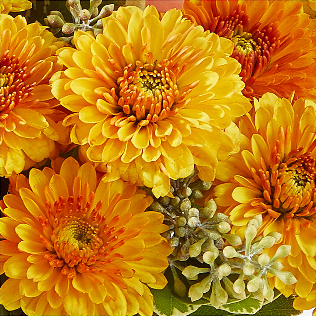 Peachy Pumpkin –  Guilles Flowers Santa Clara, San Jose CA