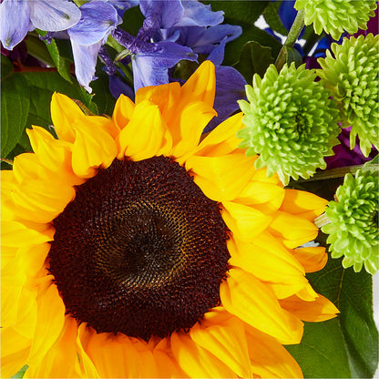 Catching Rays Bouquet –  Guilles Flowers Santa Clara, San Jose CA