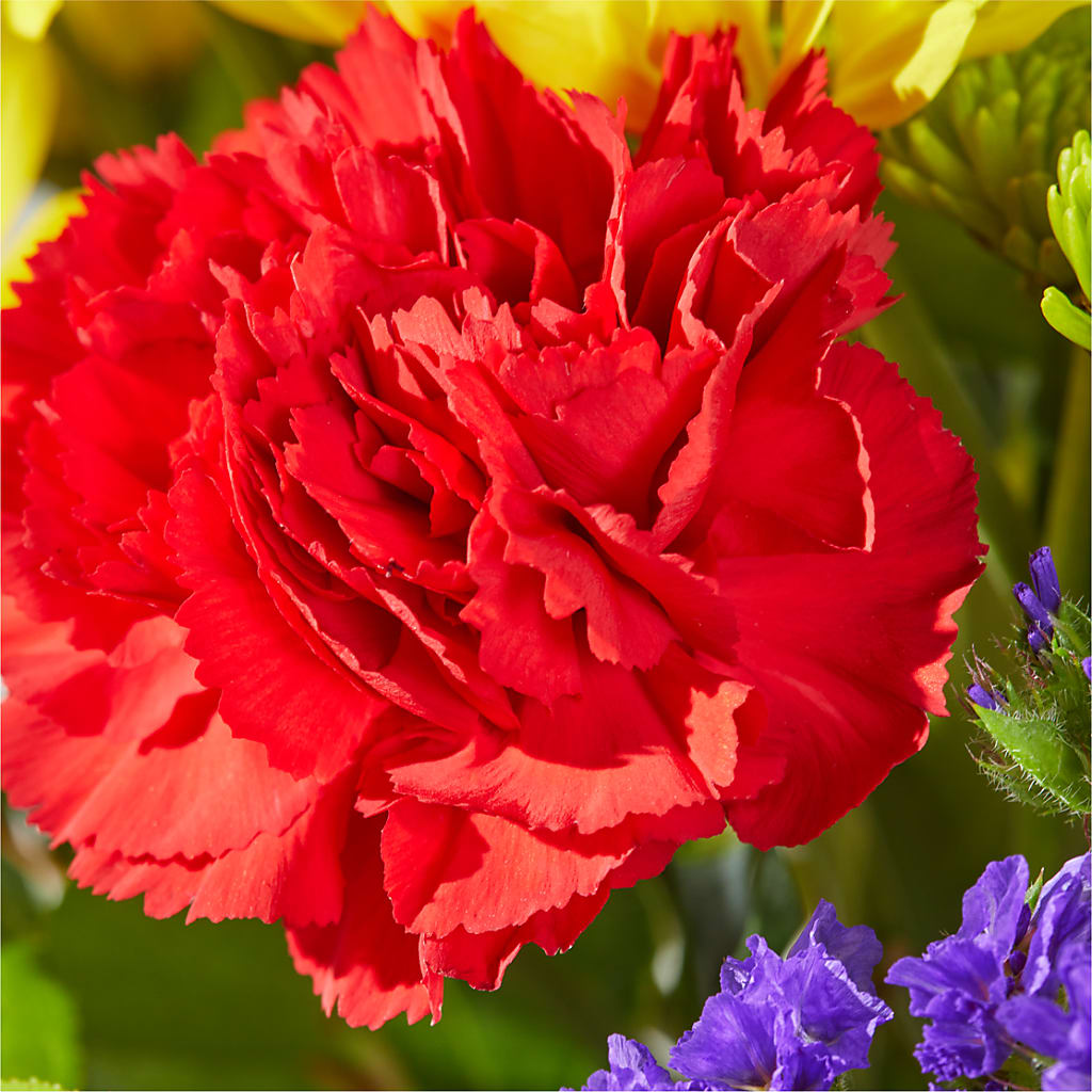 Brighter Days Bouquet –  Guilles Flowers Santa Clara, San Jose CA