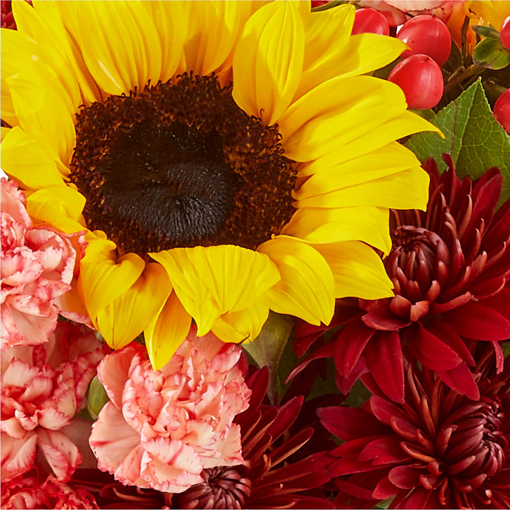 Fresh Cider Bouquet –  Guilles Flowers Santa Clara, San Jose CA