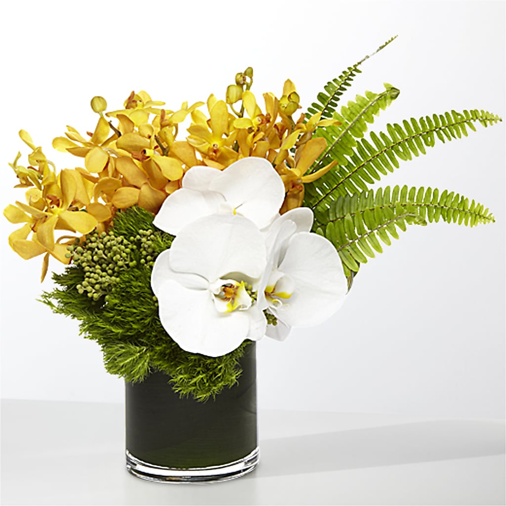 The Tropics –  Guilles Flowers Santa Clara, San Jose CA
