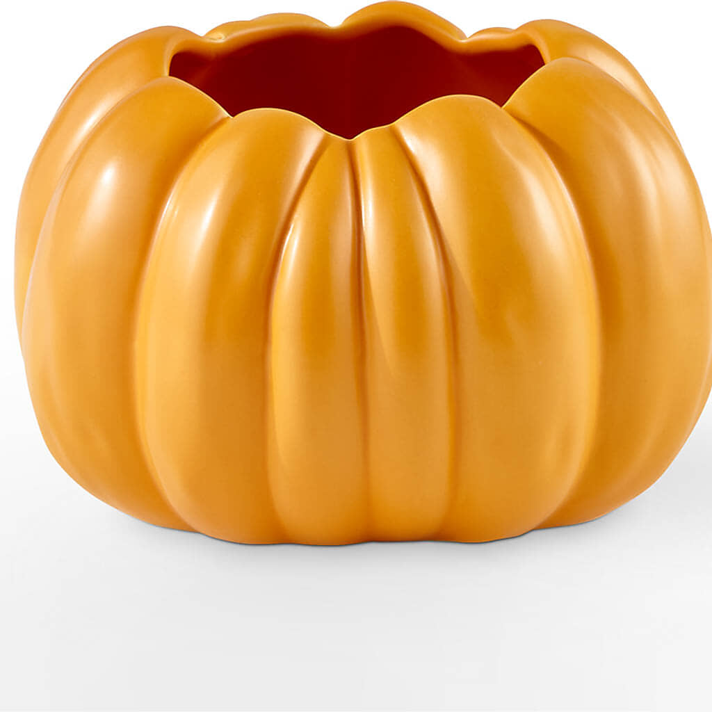 Golden Gourd Pumpkin Bouquet –  Guilles Flowers Santa Clara, San Jose CA