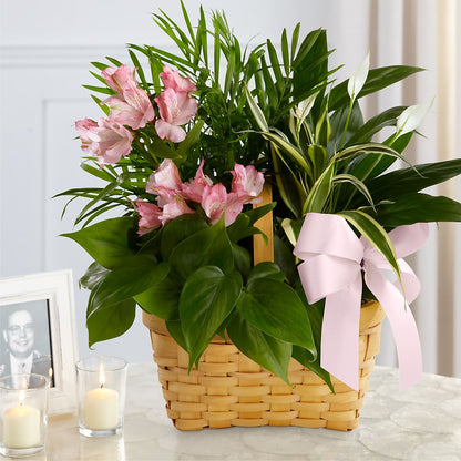 Living Spirit Dishgarden –  Guilles Flowers Santa Clara, San Jose CA