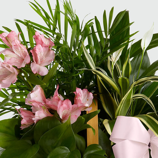 Living Spirit Dishgarden –  Guilles Flowers Santa Clara, San Jose CA