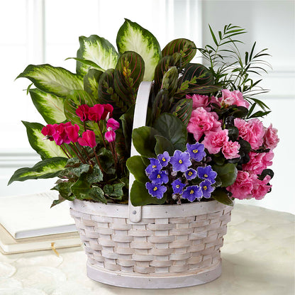 Peaceful Garden Planter –  Guilles Flowers Santa Clara, San Jose CA