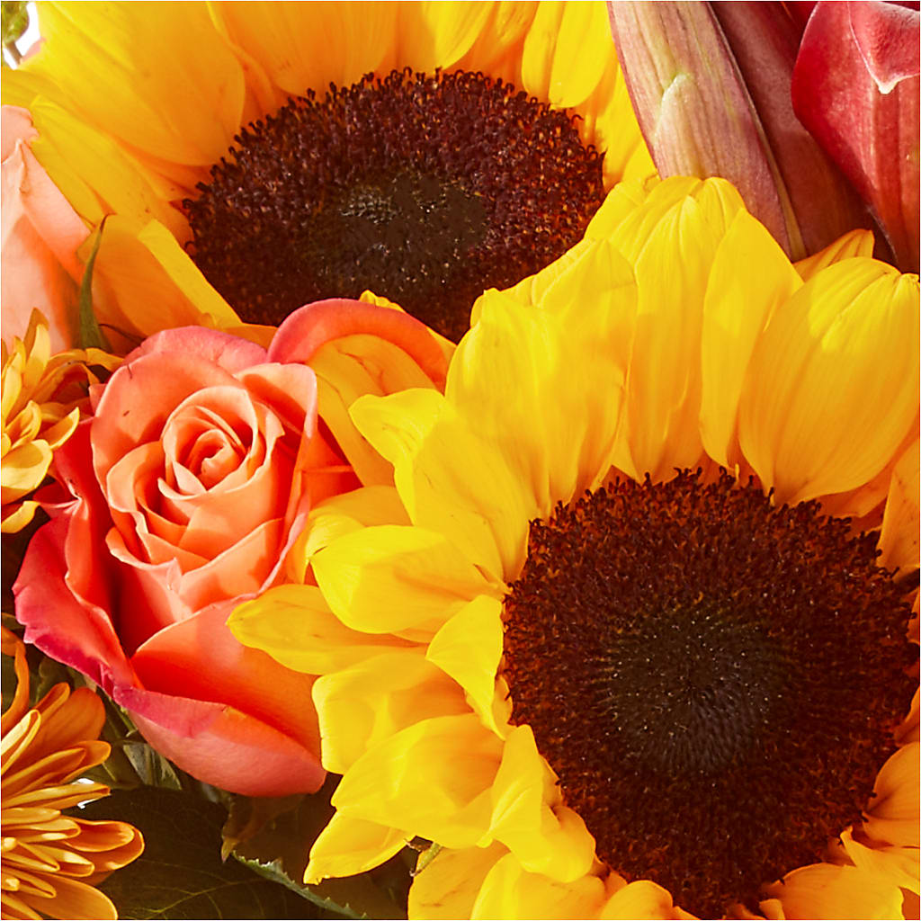 Acorn Lane Bouquet –  Guilles Flowers Santa Clara, San Jose CA