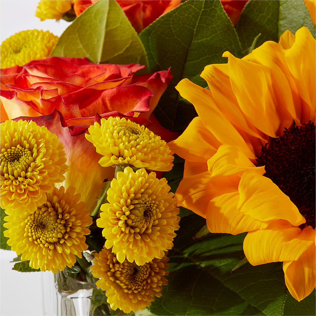 Picnic in the Park Bouquet –  Guilles Flowers Santa Clara, San Jose CA