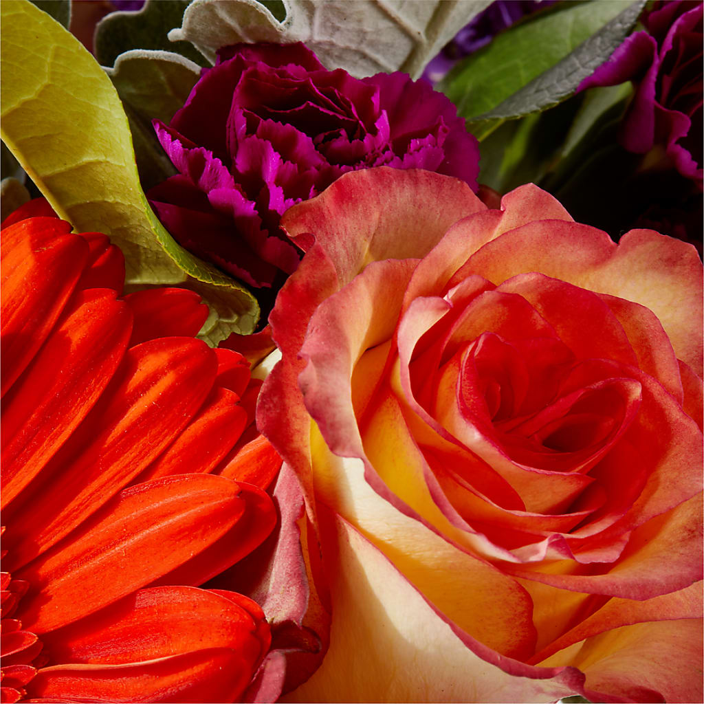 Sangria Bouquet –  Guilles Flowers Santa Clara, San Jose CA