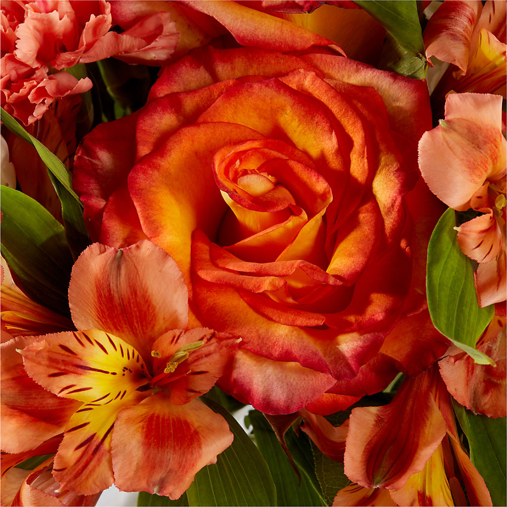 Apricot Glow Bouquet –  Guilles Flowers Santa Clara, San Jose CA