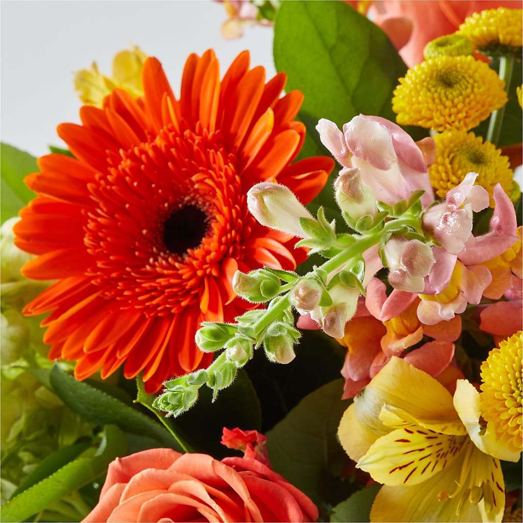 Autumn Sunshine Bouquet –  Guilles Flowers Santa Clara, San Jose CA