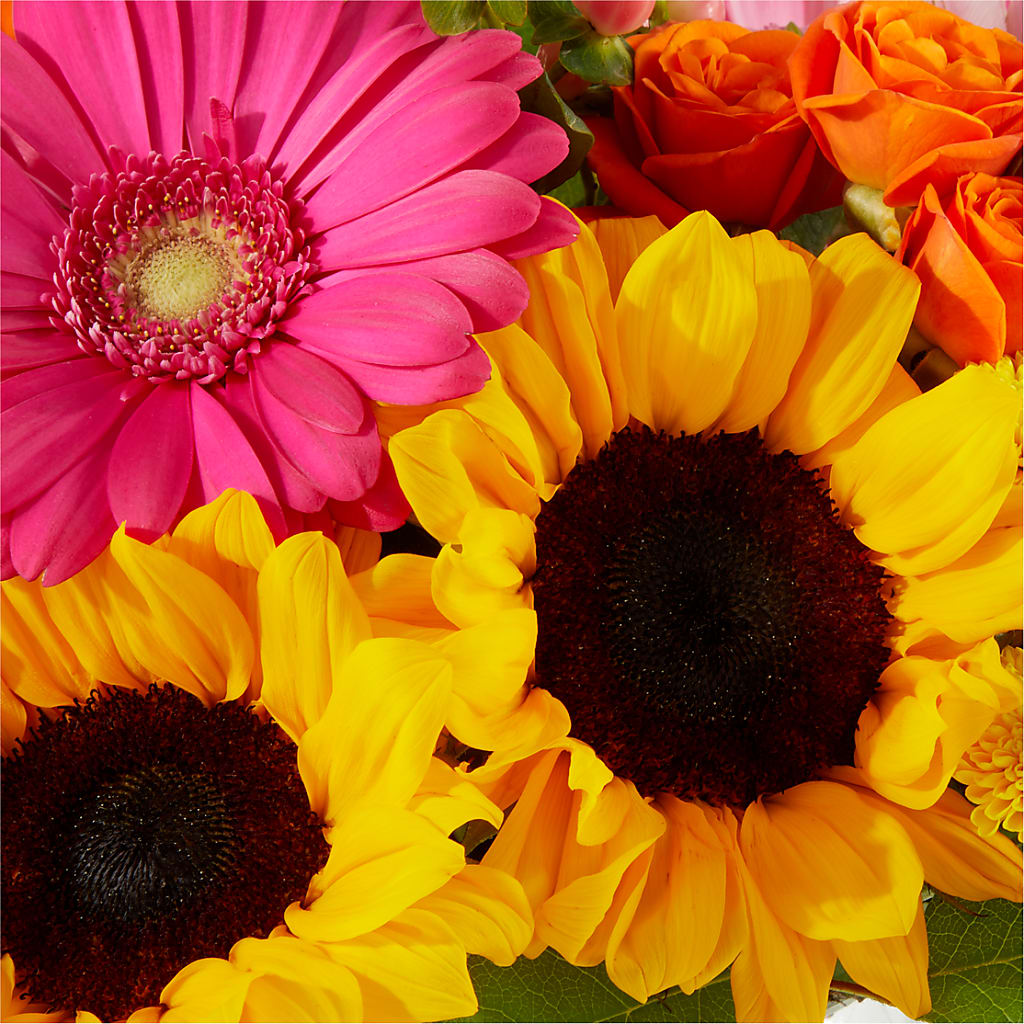 Beach Day Bouquet –  Guilles Flowers Santa Clara, San Jose CA