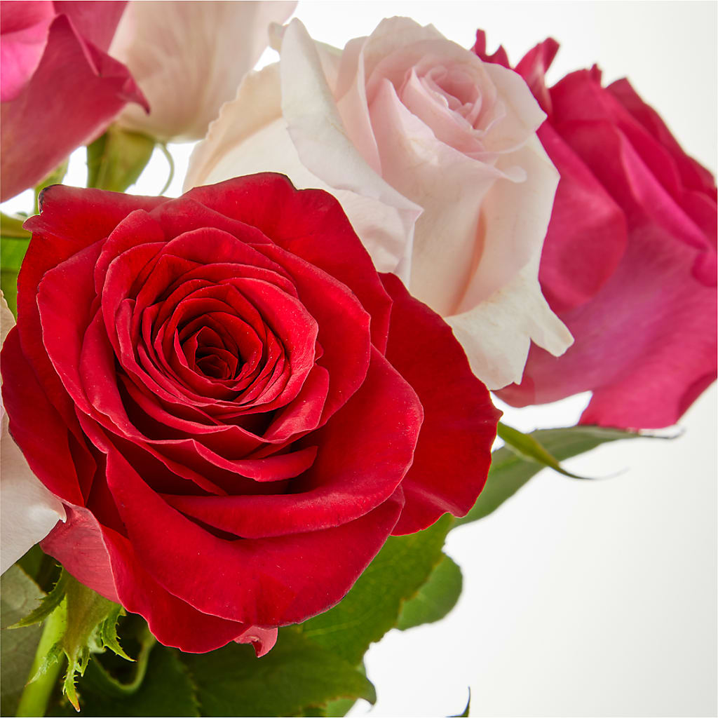Charming Rose Bouquet –  Guilles Flowers Santa Clara, San Jose CA