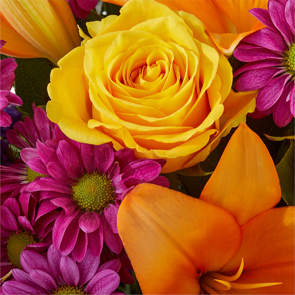 Colorful Visions Bouquet –  Guilles Flowers Santa Clara, San Jose CA