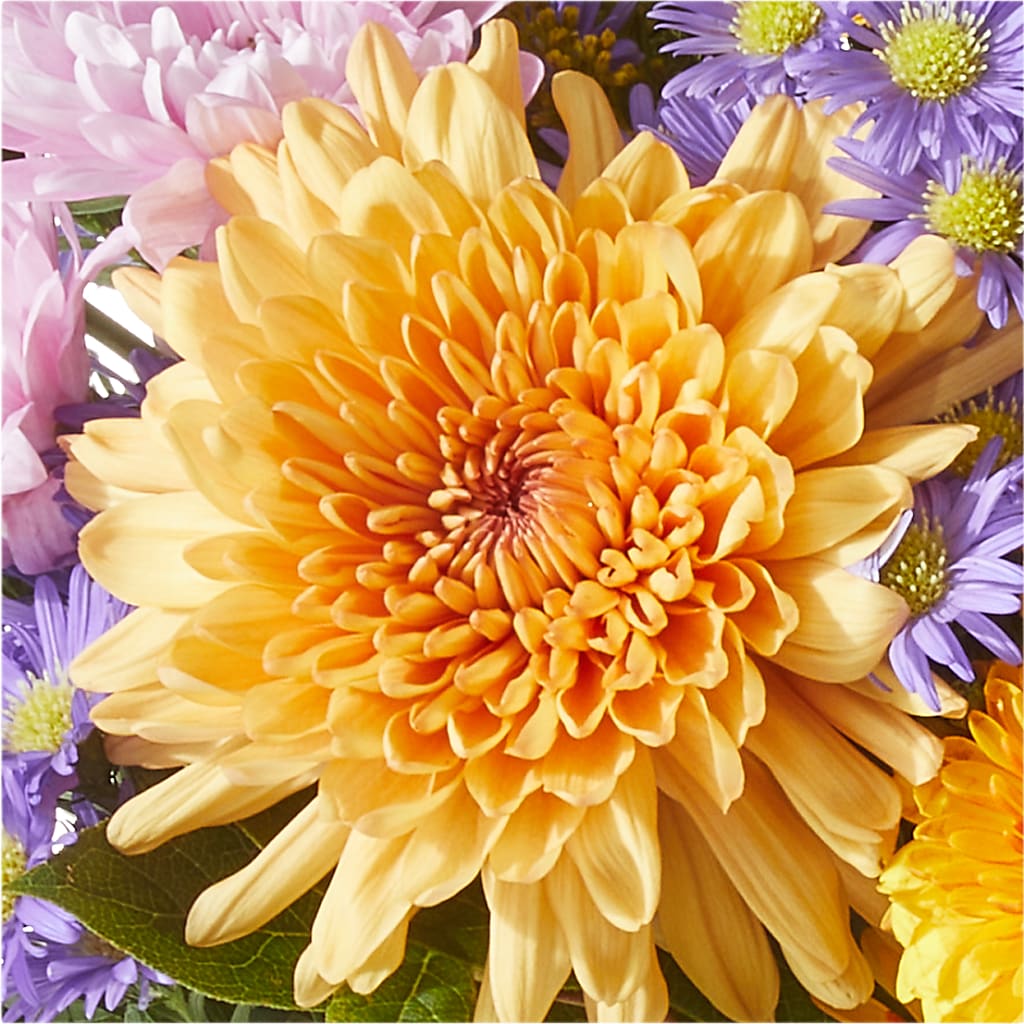 Countryside Bouquet –  Guilles Flowers Santa Clara, San Jose CA
