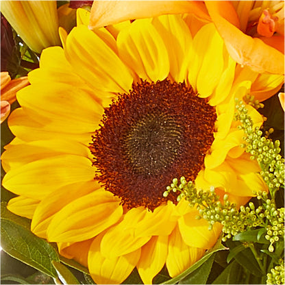 Seasons Change Bouquet –  Guilles Flowers Santa Clara, San Jose CA